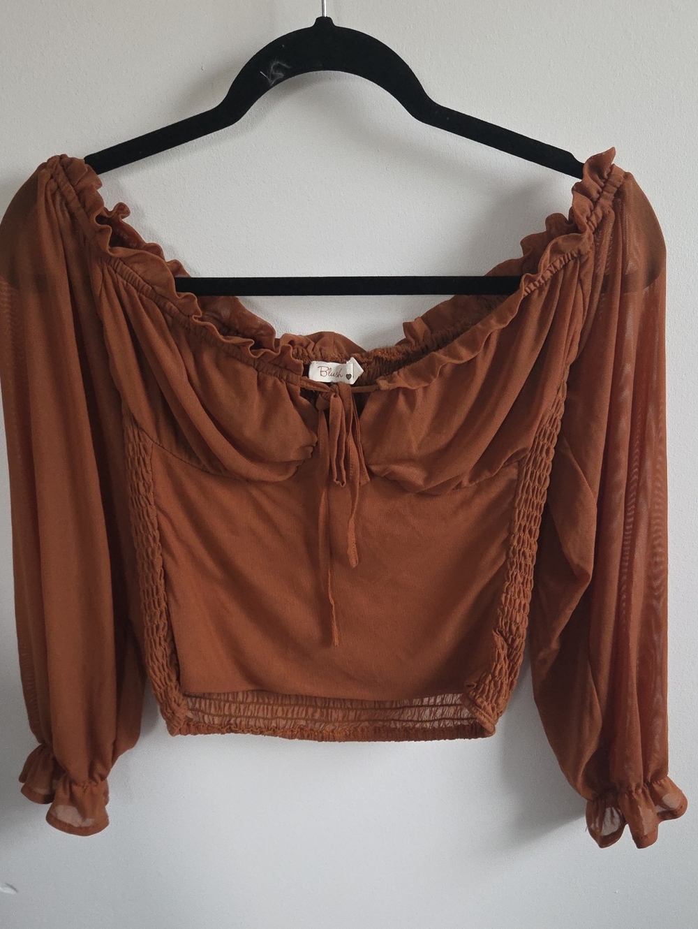 Blush Rust Brown Off-Shoulder Tie-Front Crop Top